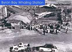 Whaling Station at Byron Bay