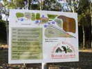Lismore Rainforest Botanic Garden map