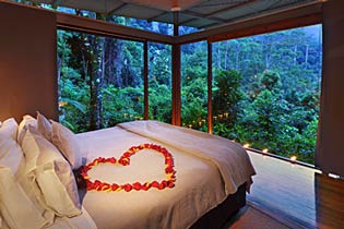 Featured Business is Crystal Creek Rainforest Lodge