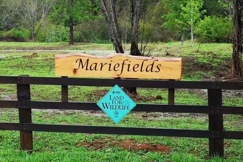 Mariefields
