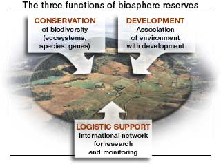 illustration showing the 3 functions of a biosphere