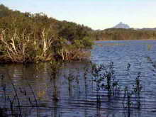 Cudgen Lake with Mount Warning / Wollumbain in background © Big Volcano