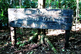 Nightcap Track signage, Nightcap National Park